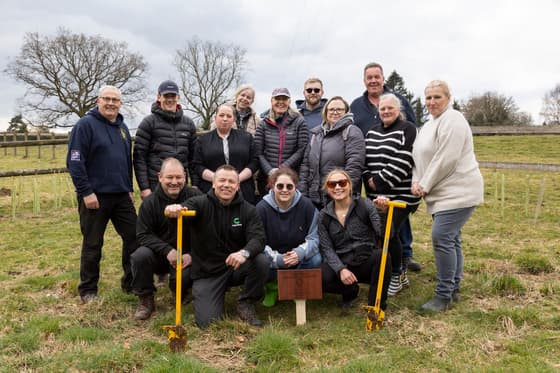 Tree-planting days