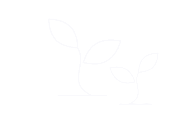statistics icon