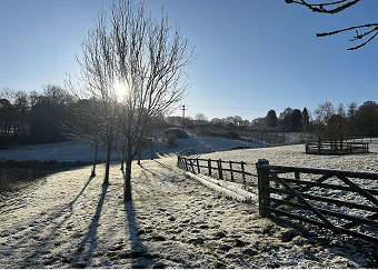 Why tree planting?